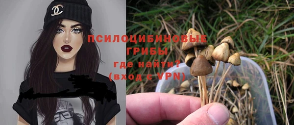 амф Абаза